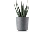 Howhomely | Fioriera Aloe Texelle, Grigio - 19,5 X 20 Cm - Vasi Da Fiori, Design Elegante, Facile Da Curare