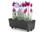 Howhomely | Fioriera - Salvia - 37,5X17 Cm - Calcestruzzo Nero - Design Minimalista - Resistente Alle Intemperie