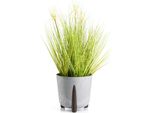 Howhomely | Fioriera - Muschio - 26X25 Cm - Calcestruzzo Grigio - Design Moderno - Ecologico