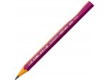 Matita Per Imparare A Scrivere Bic Kids Evolution Durezza: Hb Rosa