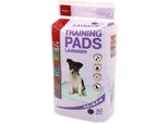 Cuscino Dog Fantasy Lavanda 55,8 × 55,8 Cm 50 Pezzi