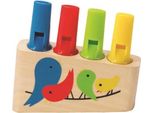 Hape Early Explorer Flauto Di Pan Arcobaleno, E1025