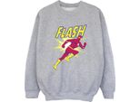 Dc Comics - Felpa Per Ragazzi BI14845 (152-158) (Grigio)