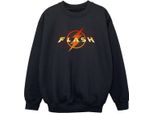 Dc Comics - Felpa Per Ragazzi BI38442 (152-158) (Nero)
