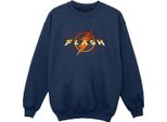Dc Comics - Felpa Da Ragazzo BI38442 (128) (Blu Navy)
