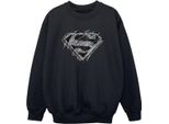 Dc Comics - Felpa Per Ragazzi BI33025 (152-158) (Nero)