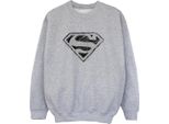Dc Comics - Felpa Per Ragazzi BI33025 (152-158) (Grigio)