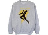 Dc Comics - Felpa Per Ragazze BI7959 (152-158) (Grigio)