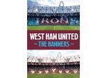 West Ham United Fc - Biglietto Di Compleanno Lenticolare E 3D, Cartoncino TA13904 (Taglia Unica) (A Colori)
