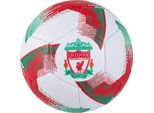 Liverpool Fc - Calcio "Blitz"" TA13917 (5) (Colorato)"