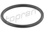 Topran 202 326 - Guarnizione Oe 13 38 216, Termostato Per Astra G, Vectra B (J96)