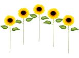 Kunstblume I.Ge.A. "Sonnenblume", Gelb, B:12Cm H:77Cm L:10Cm, Obermaterial: 90% Polyester, 10% Kunststoff, Kunstpflanzen, Einzelblume, Stielblume, 5Er Set