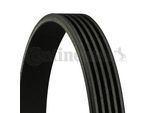 Cinghia A V Contitech 5PK1166 Extra Per Fiat Punto (199) 500L (351_ 352_)