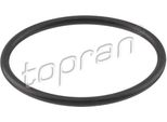 Topran 113 298 Guarnizione, Termostato Oe 03C121119H Compatibile Con Touran, Tiguan, Sharan, Scirocco, Polo 6R, Polo 9N, Passat Cc, Passat 3B, Passat 3C, Jetta, Golf Vi, Golf V, Golf Plus, Eos, Yeti, Superb, Roomster, Octavia, Fabia, Toledo, Leon, Ibiza, Altea Xl, Altea, Alhambra, A3 8P, A1 8X