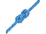 Vidaxl Corda In Polipropilene 16 Mm 250 M Blu