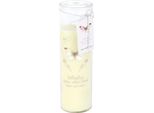 Something Different - Candela Tubolare "Butterflies Appear"", Vaniglia SD10669 (Taglia Unica) (Bianco/Trasparente)"