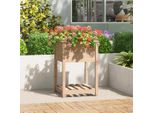 Maison Exclusive - Vaso Da Fiori Con Ripiano 54X54X81 Cm Legno Massello Di Pino