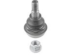 LemfÖRder 36943 01 - Oe 40160 00Q1B Cinghia Di Trascinamento Per Movano B (X62)