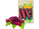 Semi Di Barbabietola Barbabietola Allungata Barbabietola Opolski Vegetale Produttiva 10G Barbabietola