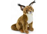 Carl Dick Caracal Circa 35 Cm, Peluche, Peluche, Peluche 3752