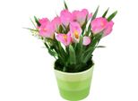 Crocus Rosa In Vaso Di Ceramica 27×25 Cm