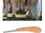 Attrezzo Per Rifilare Gli Zoccoli Acciaio Al Carbonio Con Lama Diritta Per Bovini E Cavalli (Mano Sinistra)
