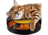 Un Giocattolo Per Un Gatto: Una Ruota Con Un Topo