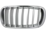 Blic 6502-07-00969955P - Griglia Radiatore Oe 51117303107, Sinistra Per X5 (F15, F85), X6 (F16)
