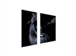 Piastre Copriforno 2 Pezzi 75X52 Ceramica Copriforno Tagliere Vetro Gatto Nero