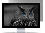 Natec Privacy Filter Owl 27" 16:9"