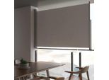 Maison Exclusive - Tenda Da Sole Laterale Retrattile 160X300 Cm Grigio