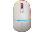 Canyon MW-22, Mouse Ottico Senza Fili 2In1 Bluetooth / Wireless Usb, 800/1200/1600 Dpi, 4 Stampe, Beige