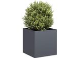 Maison Exclusive - Vaso Per Piante Antracite 40X40X40 Cm Acciaio Laminato A Freddo