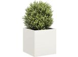Maison Exclusive - Vaso Da Fiori Bianco 40X40X40 Cm Acciaio Laminato A Freddo