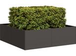 Maison Exclusive - Vaso Da Fiori Nero 100X100X30 Cm In Acciaio