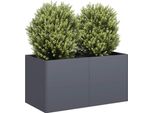 Maison Exclusive - Vaso Per Piante Antracite 80X40X40 Cm Acciaio Laminato A Freddo