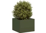 Maison Exclusive - Fioriera Verde Oliva 40X40X30 Cm In Acciaio