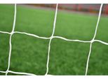 Rete Di Ricambio Precision Flexi Net - 8' X 4'