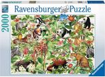 Ravensburger, Puzzle Premium Con 2000 Pezzi Softclick Tema Giungla In Cartone Extra Spesso, Colorato