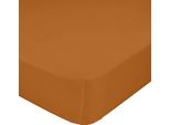 Lenzuolo Happyfriday Basic Terracotta 200 X 200 X 32 Cm