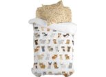 Set Copripiumino Happyfriday Mr Fox Cats Colorful Materasso Singolo 2 Pezzi
