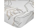 Lenzuolo Happyfriday Blanc Colorato 140 X 200 X 32 Cm