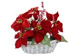 Kunstblume I.Ge.A. "Arrangement", Rot, B:32Cm H:30Cm L:20Cm, Kunstpflanzen, Poinsettia Beeren Im Korb