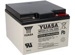 Batteria Al Piombo Yuasa NPC24-12I Pb 12V / 24Ah A Prova Di Ciclo, Filettatura Interna M5