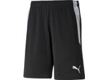 Puma Teamliga Pantaloncini Da Arbitro Puma BLACK-PUMA White M