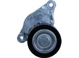 Tenditore Cinghia Multifunzione Citroen 1,6Bluehdi