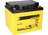 Sun Battery SB12-40V0 Batteria Agm 12V 40Ah Al Piombo Con Vds