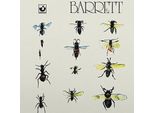 Barrett