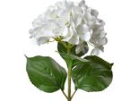 Fiore Artificiale Clayre & Eef Ortensia 68 Cm Plastica Bianca