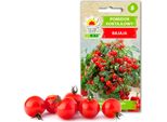 Semi Di Ortaggi Toraf Pomodoro Ciliegino Bajaja, Confezione 0,3G